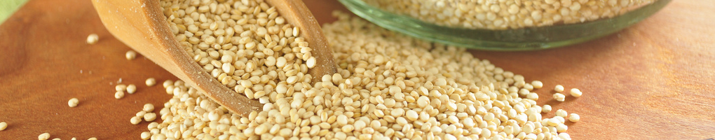 Le conditionnement alimentaire : Audit avec &#8220;Sa Majesté La Graine&#8221;. Sainte-Marie-aux-Mines