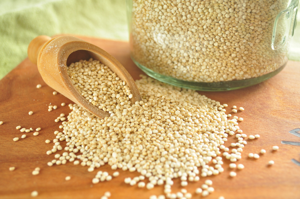 QUINOA | Grai Le conditionnement alimentaire : Audit avec “Sa Majesté La Graine”. Sainte-Marie-aux-Mines