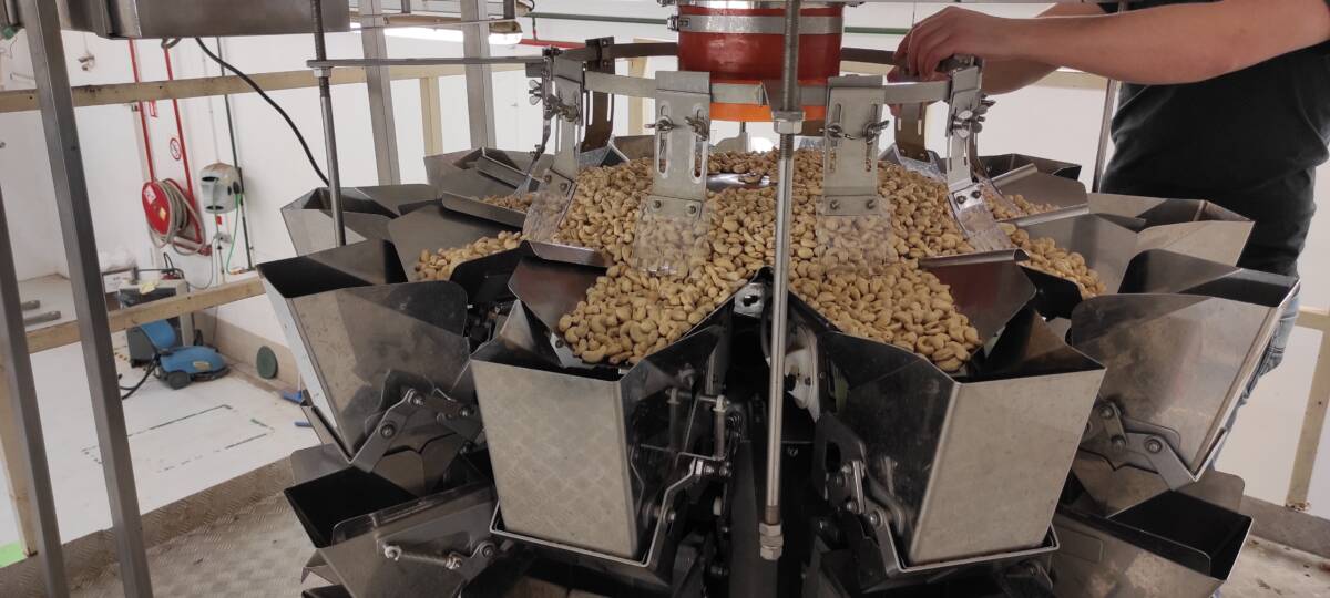 Conditionnement S&eacute;lestat